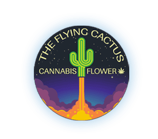 Flying Cactus T-Shirt